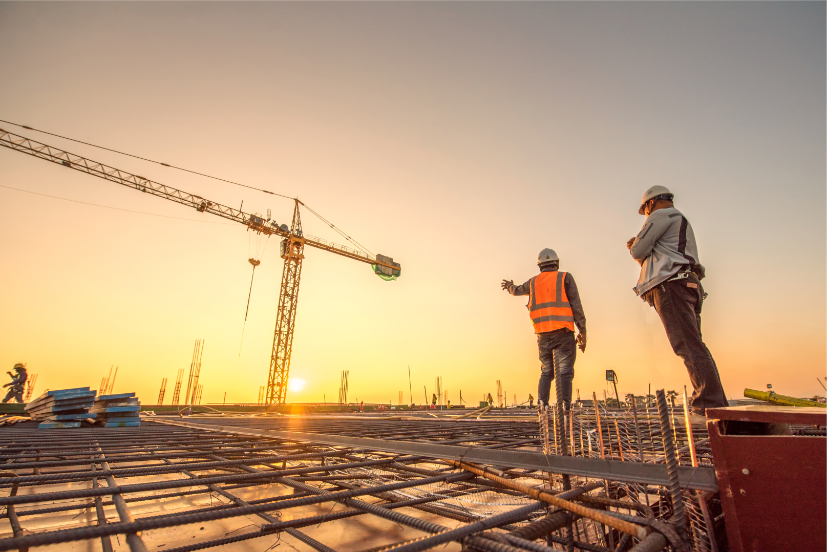 Skilled Professional